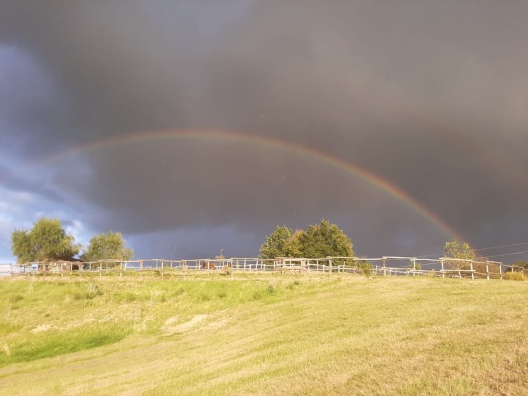 Regenbogen